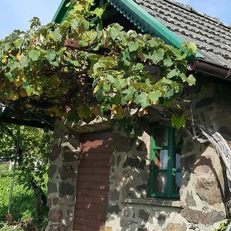 Homestay Clar Im Park
