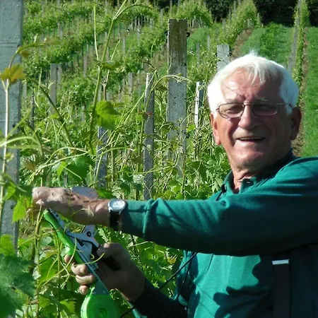 Clar Im Park Bad Gleichenberg