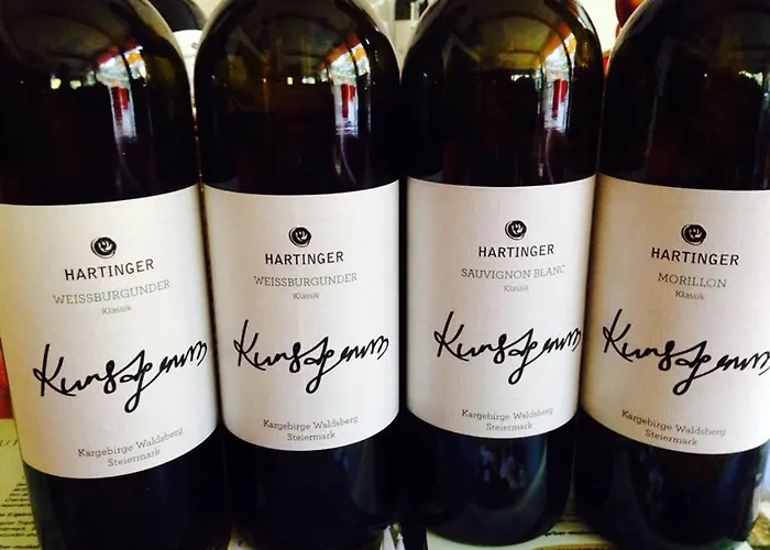 维恩哈听格克拉别墅公园温泉民宿 酒店 *