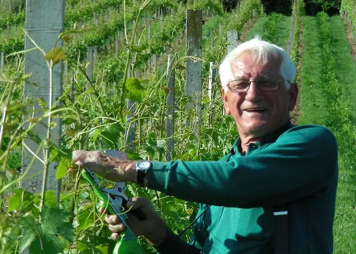 维恩哈听格克拉别墅公园温泉民宿 巴特格莱兴贝格