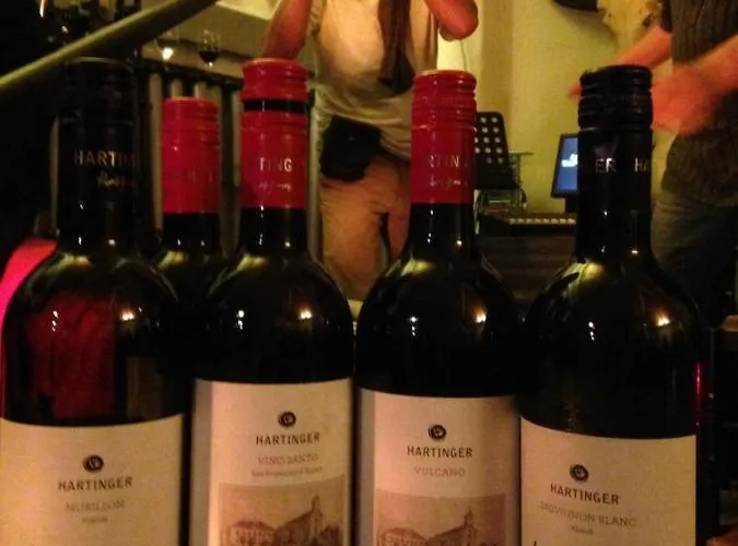 酒店 维恩哈听格克拉别墅公园温泉民宿 巴特格莱兴贝格